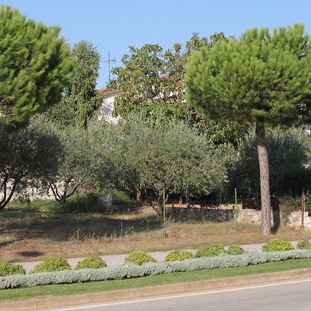 Apartments And Rooms With Parking Space Rovinj - 7170 Kültér fotó