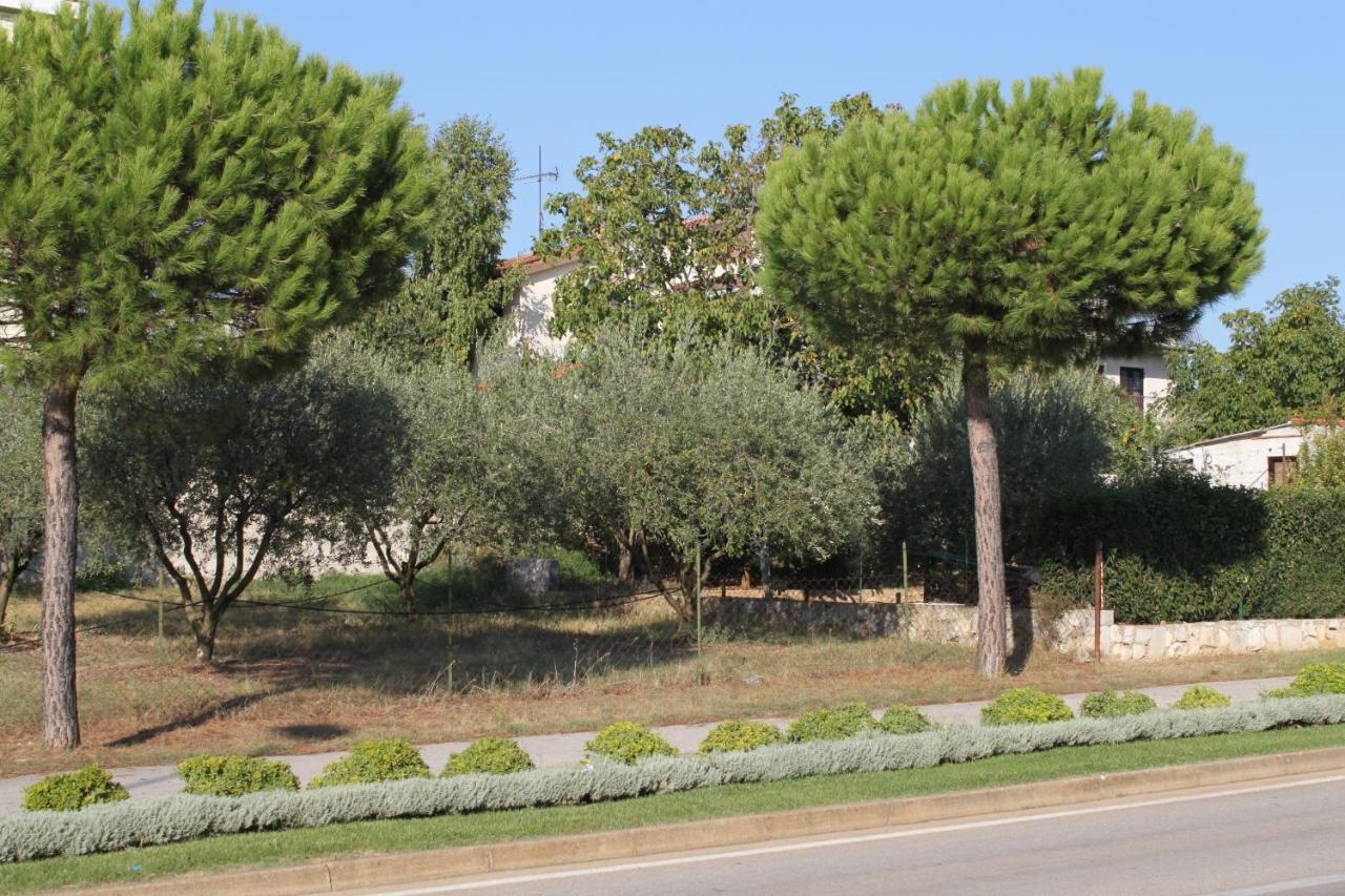 Apartments And Rooms With Parking Space Rovinj - 7170 Kültér fotó